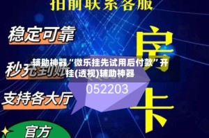 辅助神器“微乐挂先试用后付款”开挂(透视)辅助神器