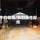 牛的视频/农村养牛视频