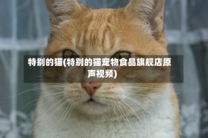 特别的猫(特别的猫宠物食品旗舰店原声视频)