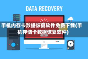手机内存卡数据恢复软件免费下载(手机存储卡数据恢复软件)