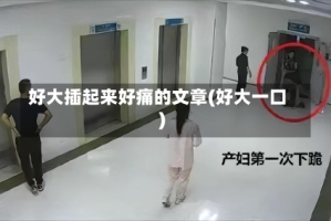 好大插起来好痛的文章(好大一口)