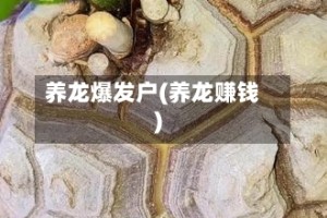 养龙爆发户(养龙赚钱)