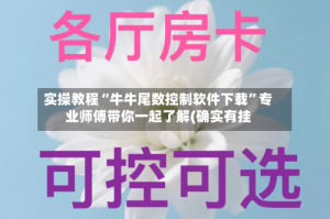 实操教程“牛牛尾数控制软件下载”专业师傅带你一起了解(确实有挂