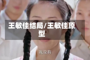 王敏佳结局/王敏佳原型