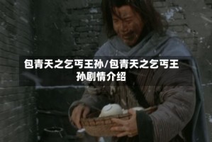 包青天之乞丐王孙/包青天之乞丐王孙剧情介绍