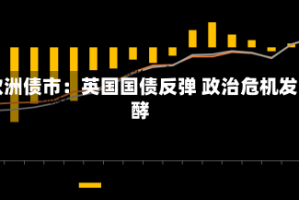 欧洲债市：英国国债反弹 政治危机发酵