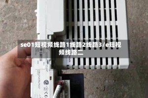 se01短视频线路1线路2线路3/e短视频线路二
