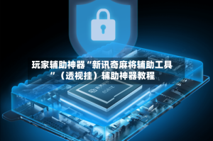 玩家辅助神器“新讯奇麻将辅助工具”（透视挂）辅助神器教程