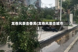 龙卷风袭击番禺(龙卷风袭击城市)