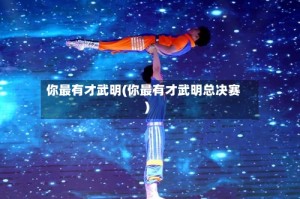 你最有才武明(你最有才武明总决赛)