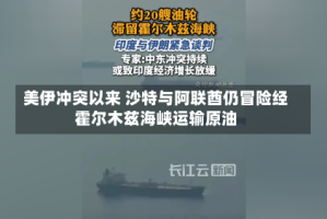 美伊冲突以来 沙特与阿联酋仍冒险经霍尔木兹海峡运输原油