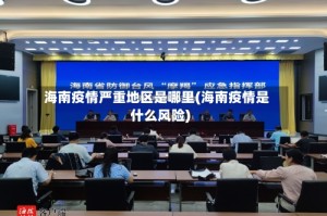 海南疫情严重地区是哪里(海南疫情是什么风险)