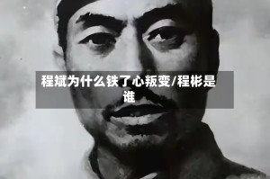程斌为什么铁了心叛变/程彬是谁