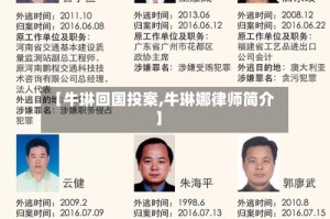 【牛琳回国投案,牛琳娜律师简介】