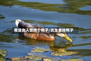 我是女人想找个鸭子/女生要找鸭子