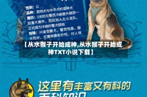 【从水猴子开始成神,从水猴子开始成神TXT小说下载】
