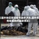 【国外地区新冠疫情最新消息,国外疫情新增病例最新消息】