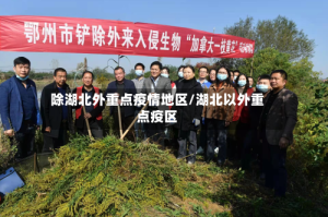 除湖北外重点疫情地区/湖北以外重点疫区