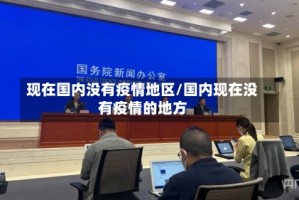 现在国内没有疫情地区/国内现在没有疫情的地方