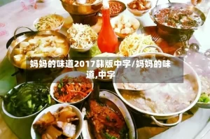 妈妈的味道2017韩版中字/妈妈的味道,中字