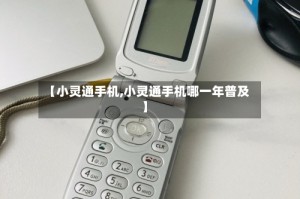 【小灵通手机,小灵通手机哪一年普及】