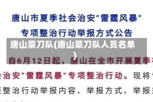 唐山菜刀队(唐山菜刀队人员名单)