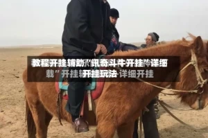 教程开挂辅助“讯奇斗牛开挂”详细开挂玩法