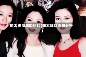 向太陈岚年轻照片(向太陈岚面相分析)