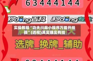 实操教程“功夫川麻小程序万能开挂器”(透视)其实确实有挂