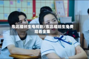 东北插班生电视剧/东北插班生免费观看全集