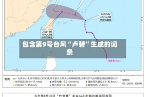 包含第9号台风“卢碧”生成的词条