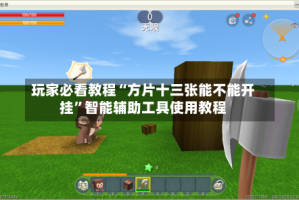玩家必看教程“方片十三张能不能开挂”智能辅助工具使用教程