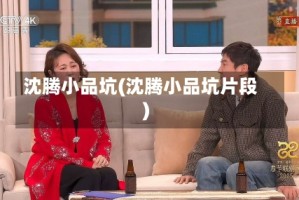 沈腾小品坑(沈腾小品坑片段)