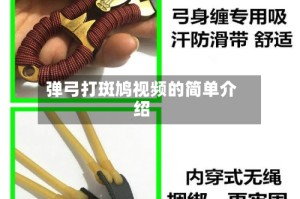 弹弓打斑鸠视频的简单介绍