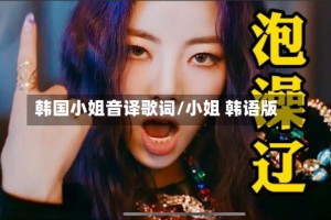 韩国小姐音译歌词/小姐 韩语版