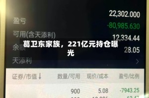 葛卫东家族，221亿元持仓曝光