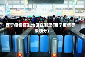 西宁疫情高发地区在哪里(西宁疫情等级划分)