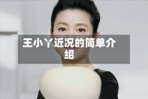 王小丫近况的简单介绍