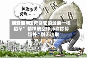 燃油费用飙升成“压垮骆驼的最后一根稻草” 精神航空律师称除停运外“别无选取”
