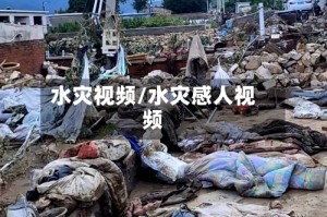 水灾视频/水灾感人视频