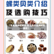【贝类海鲜有哪些,常见的贝类海鲜有哪些】