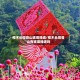 樟木头观音山玻璃栈道/樟木头观音山有玻璃栈道吗