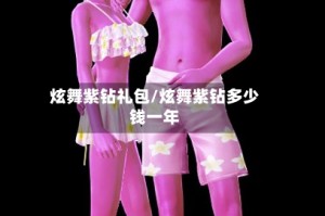 炫舞紫钻礼包/炫舞紫钻多少钱一年