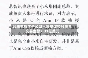 台积电旗下子公司出售安谋控股股票 交易金额2.31亿美元