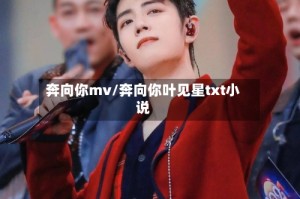 奔向你mv/奔向你叶见星txt小说
