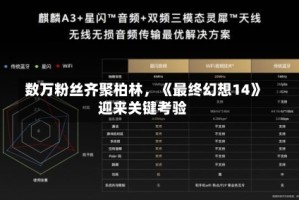 数万粉丝齐聚柏林，《最终幻想14》迎来关键考验