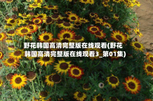 野花韩国高清完整版在线观看(野花韩国高清完整版在线观看3_第01集)