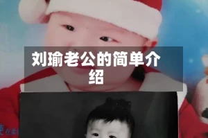 刘瑜老公的简单介绍