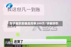 女子离职前骗走同事200万/诱骗辞职
