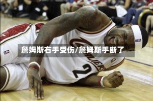 詹姆斯右手受伤/詹姆斯手断了
